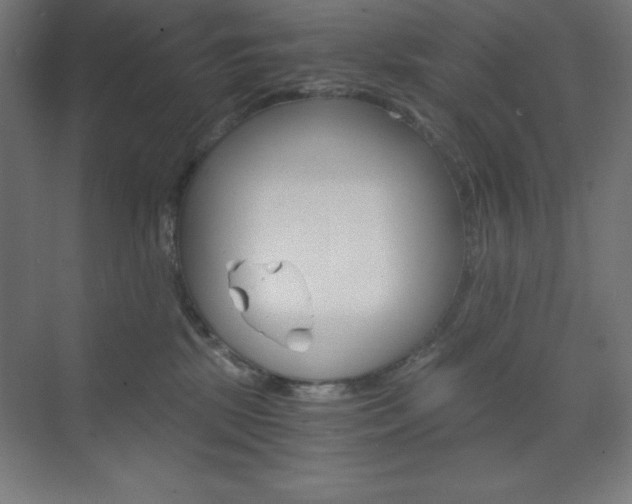 X0000073430281200607281013