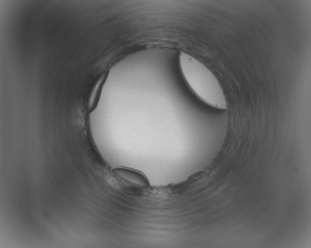 X0000073430282200607281013