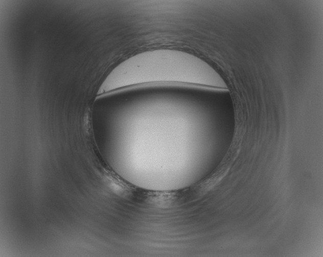 X0000073430288200607281013