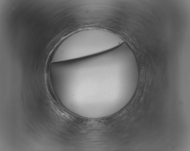 X0000073430290200607281012
