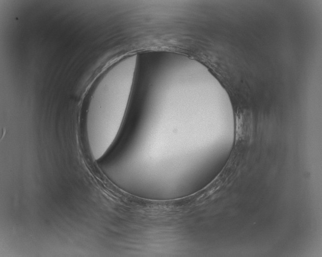 X0000073430291200607281012