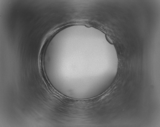 X0000073430294200607281012