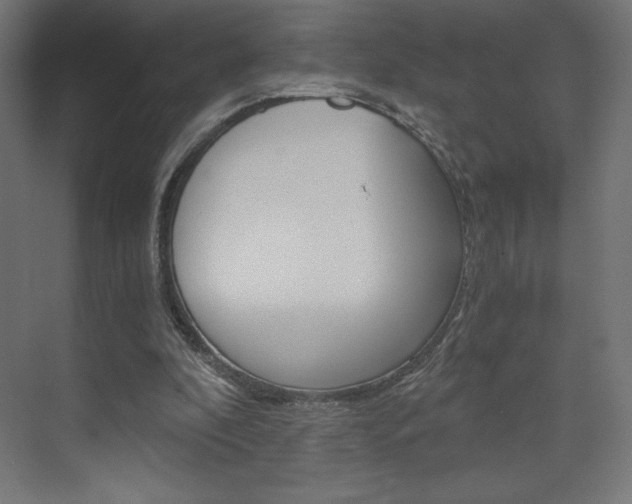 X0000073430296200607281012