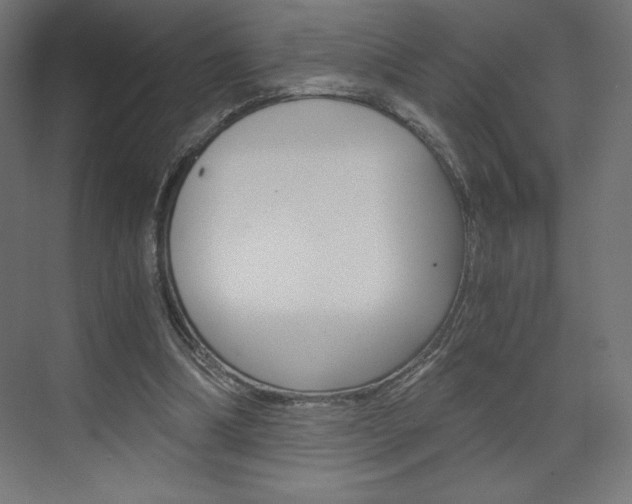 X0000073430298200607281012