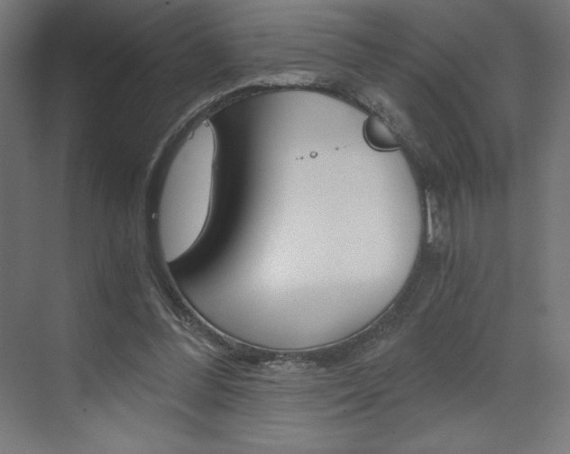 X0000073430300200607281012