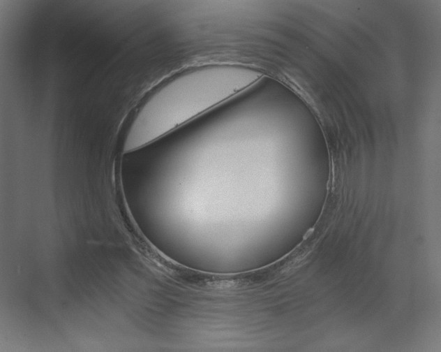 X0000073430301200607281012