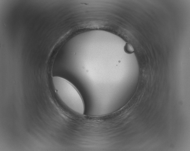 X0000073430304200607281012