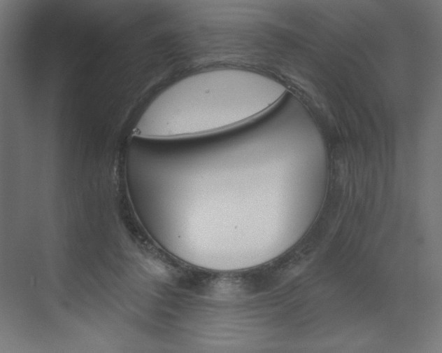 X0000073430308200607281012