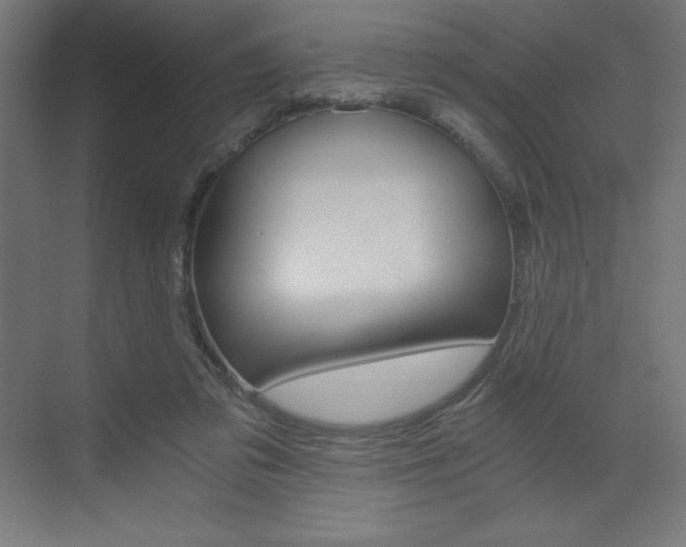 X0000073430309200607281012