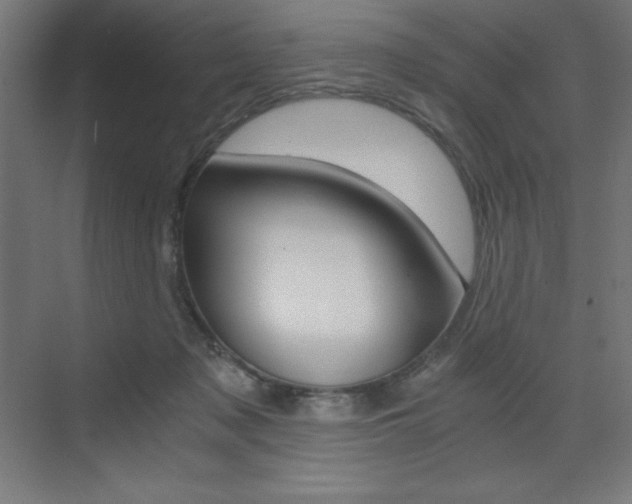 X0000073430317200607281012