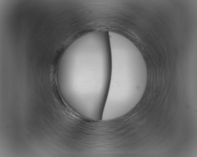 X0000073430318200607281012