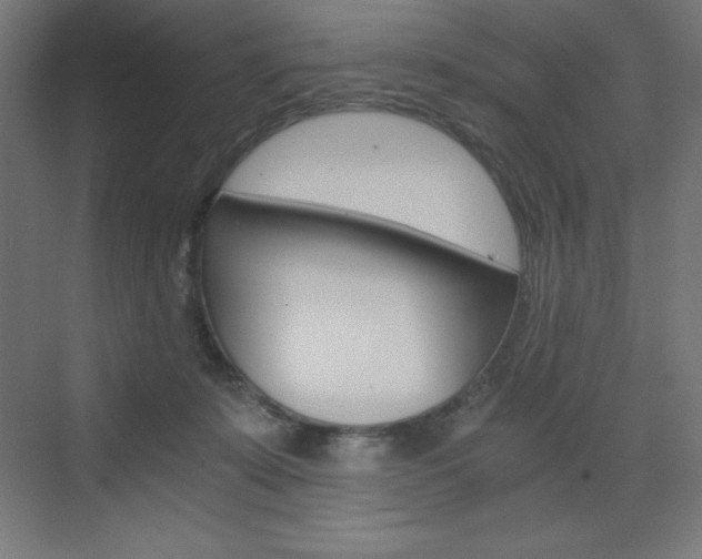 X0000073430319200607281012