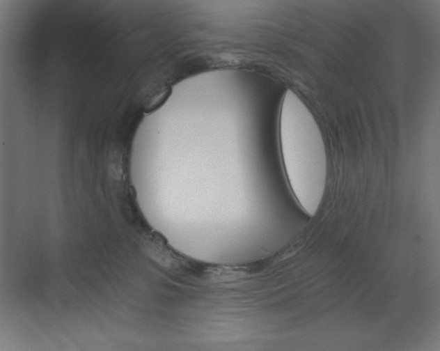 X0000073430331200607281012
