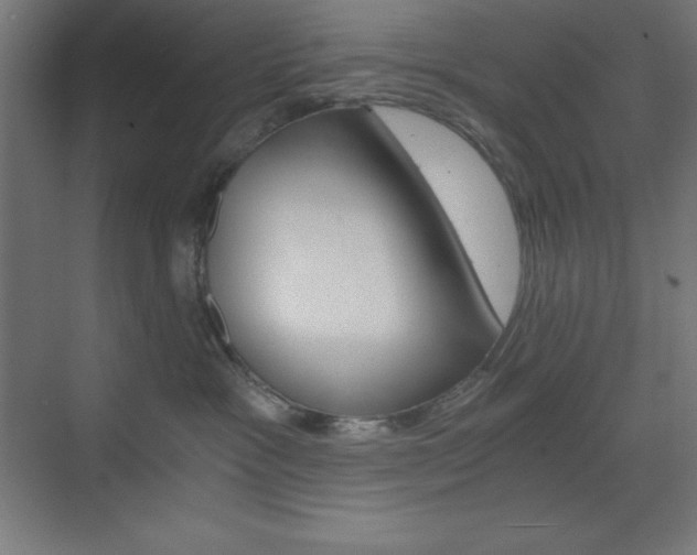 X0000073430333200607281012