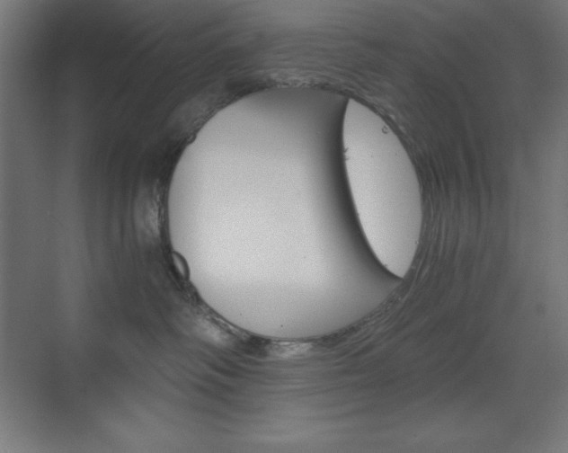 X0000073430334200607281012