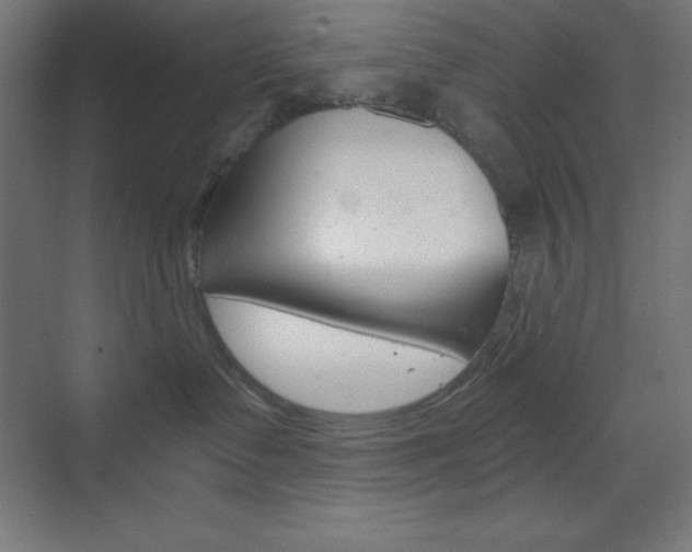 X0000073430335200607281012