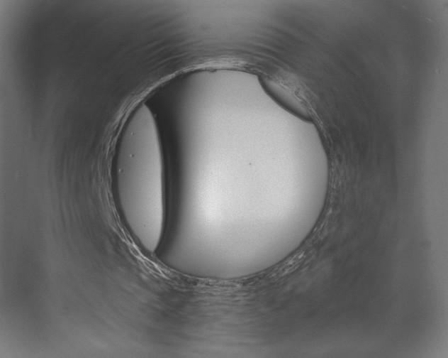 X0000073430337200607281011