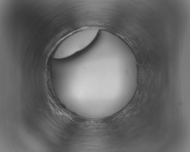 X0000073430338200607281011