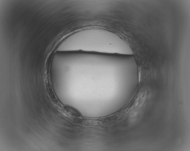 X0000073430339200607281011