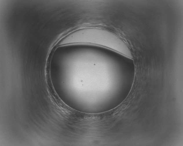 X0000073430340200607281011