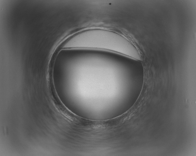 X0000073430344200607281011