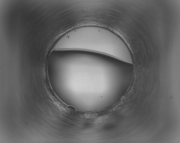 X0000073430345200607281011