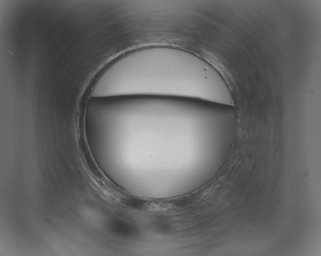 X0000073430346200607281011