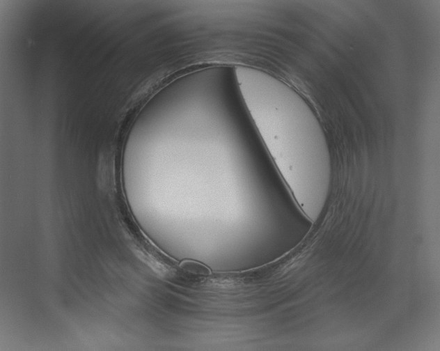 X0000073430349200607281011