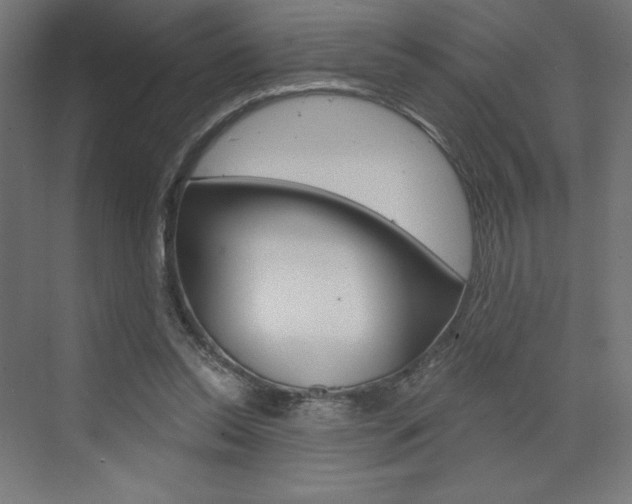 X0000073430350200607281011