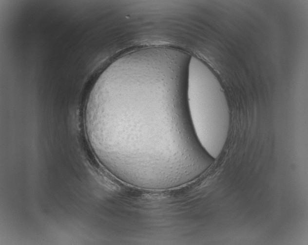 X0000073430351200607281011