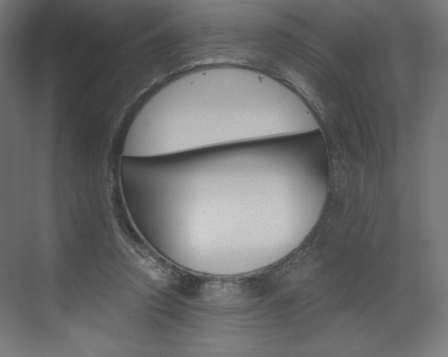 X0000073430354200607281011