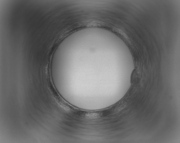 X0000073430357200607281011