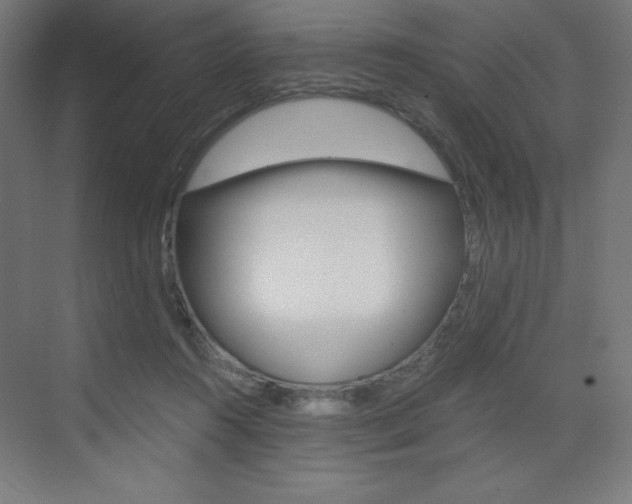 X0000073430360200607281011