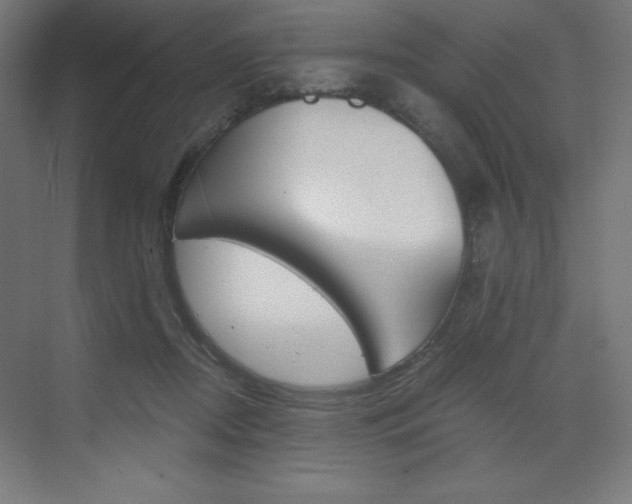 X0000073430362200607281011