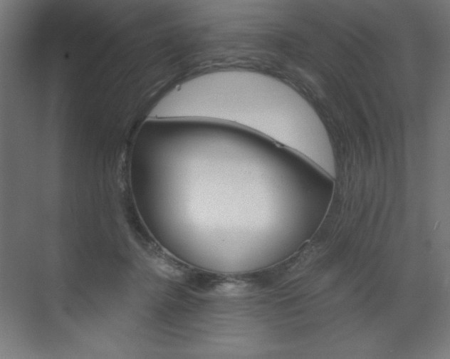 X0000073430364200607281011