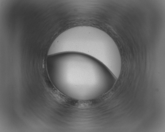 X0000073430368200607281011