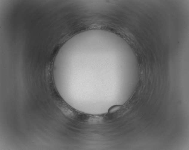 X0000073430369200607281011