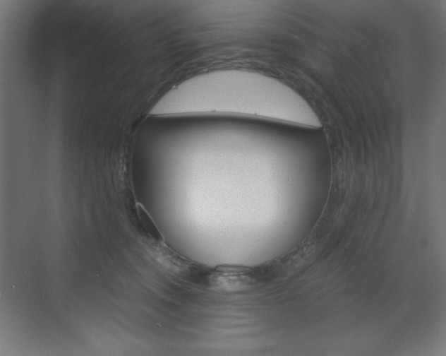 X0000073430372200607281011