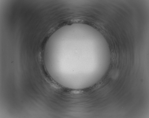 X0000073430375200607281011