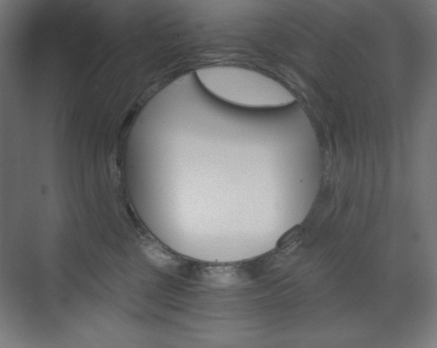 X0000073430377200607281011