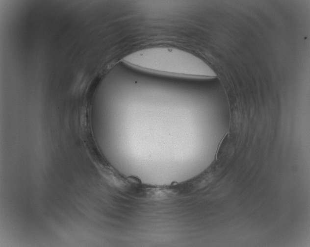X0000073430379200607281011