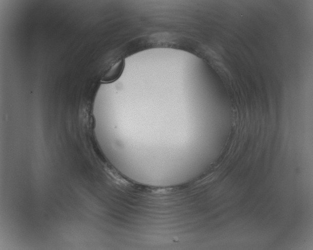 X0000073430382200607281011