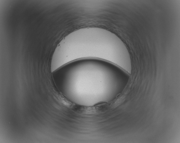 X0000073430384200607281011