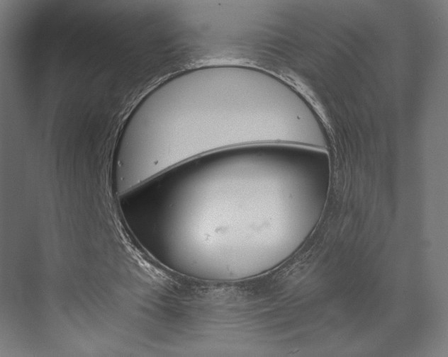 X0000073430385200607281011