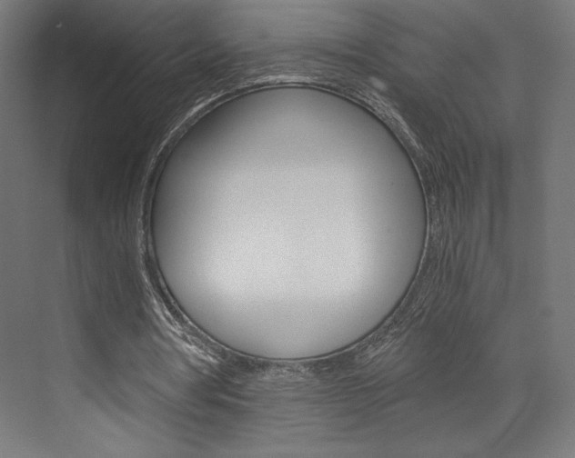 X0000073430386200607281011