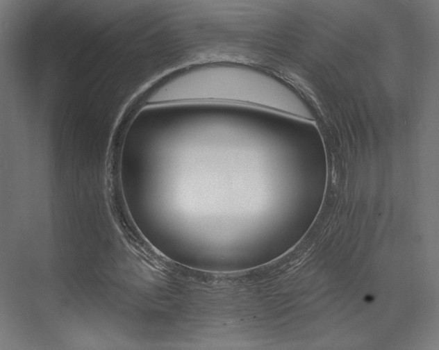X0000073430388200607281011