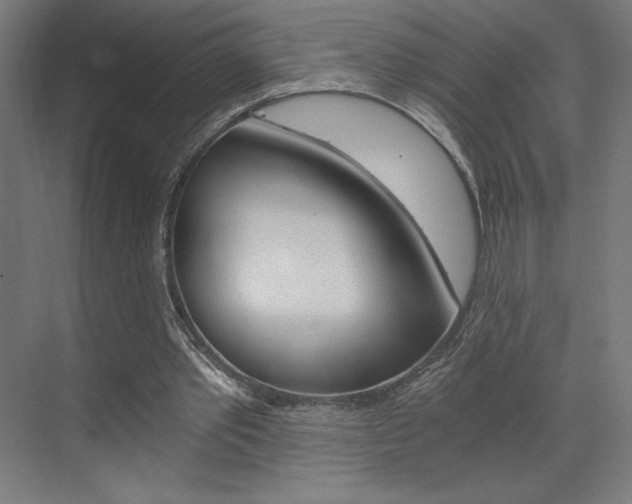X0000073430389200607281011