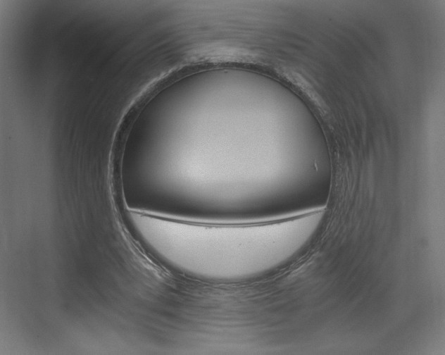 X0000073430391200607281011