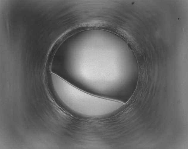 X0000073430392200607281011