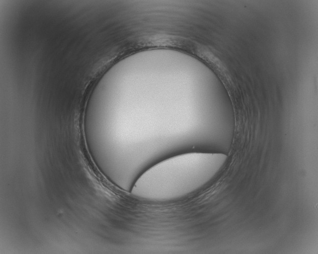 X0000073430394200607281011